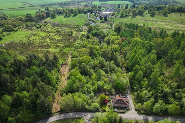 Preview of property 3.2 Acres At Crinigart Lodge Wood, Gartmore, Aberfoyle, FK8 3RR